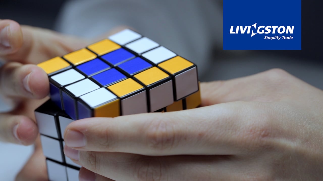 Livingston International. Simplifying Trade Complexity.