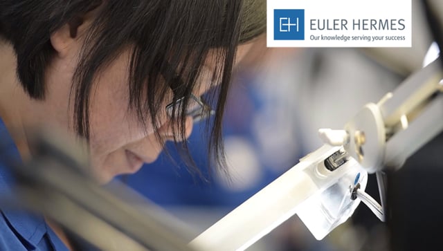 Euler Hermes: Mircom Customer Testimonial