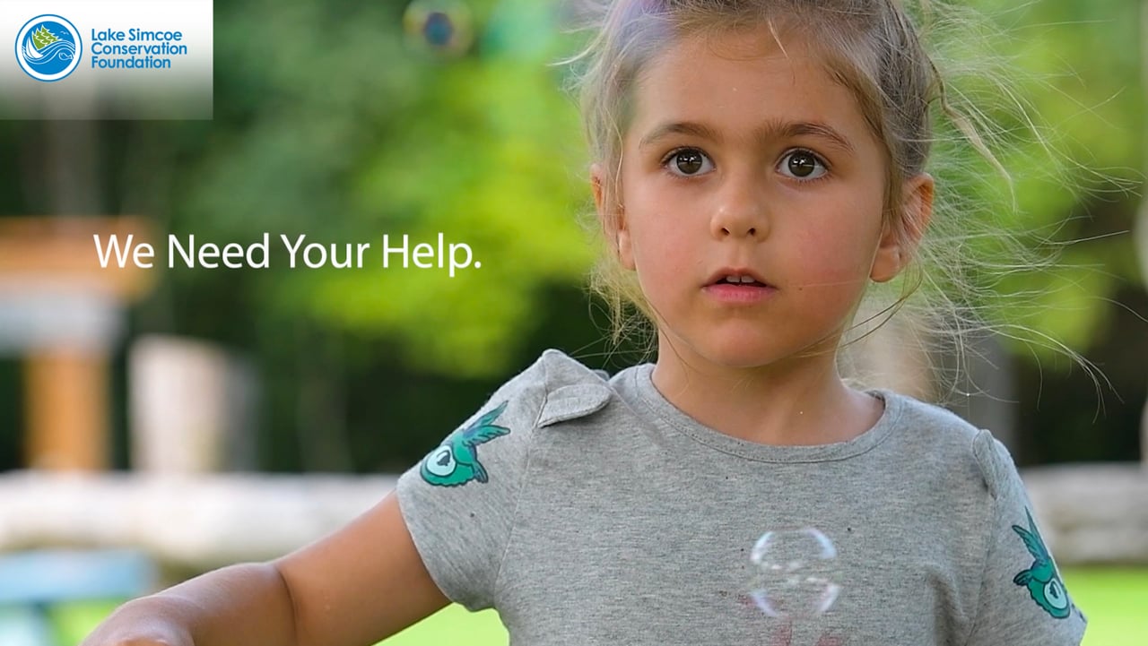 Lake Simcoe Conservation Foundation: The Connect Campaign